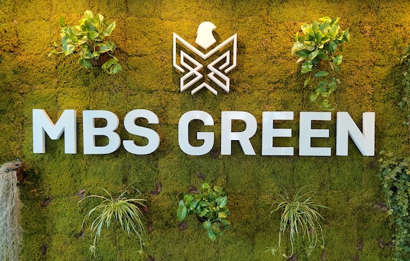 Introducing MBS Green: Enabling Climate Action